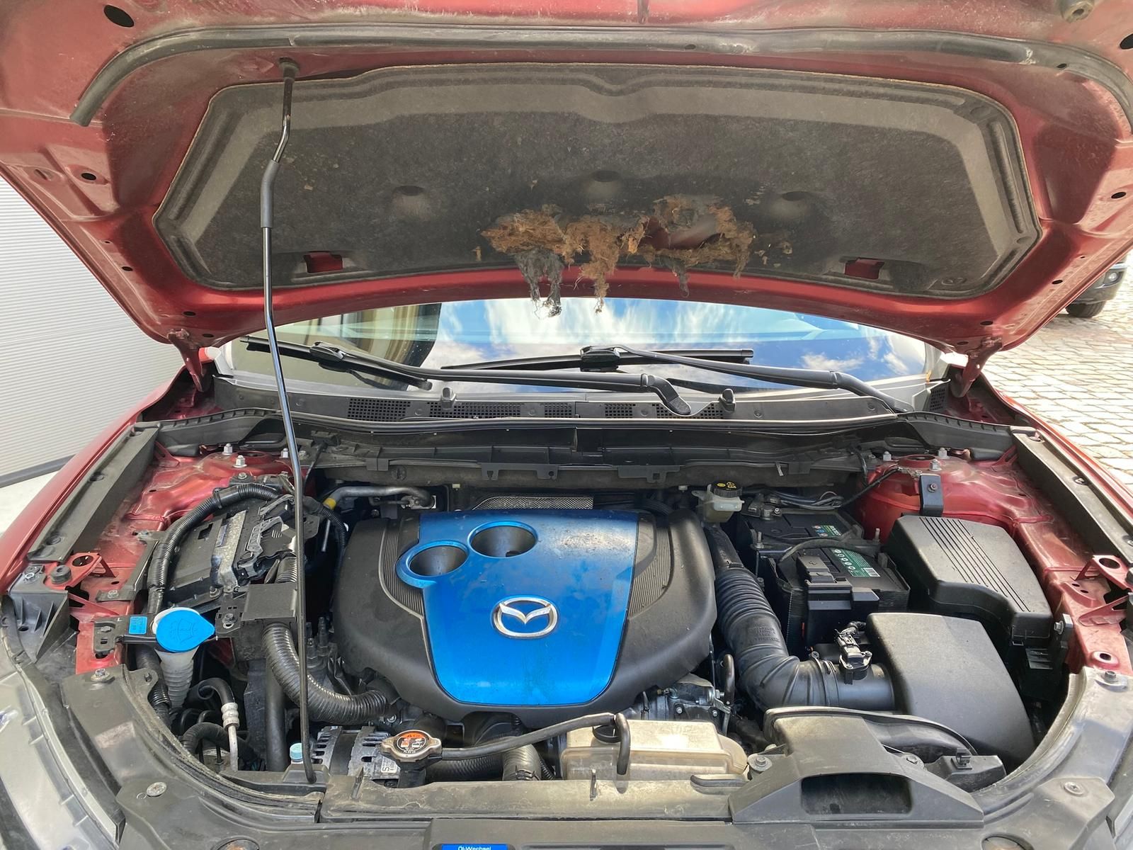 Fahrzeugabbildung Mazda CX-5 Center-Line AWD